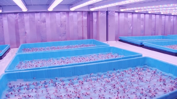 Farmony Indoor Farm