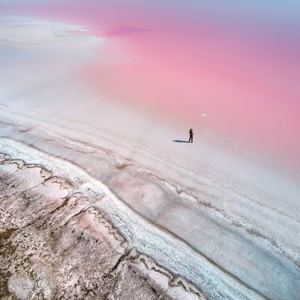 (Yevhen Samuchenko, Ukraine, Shortlist, Professional, Natural World & Wildlife, 2020 Sony World Photography Awards/PA)