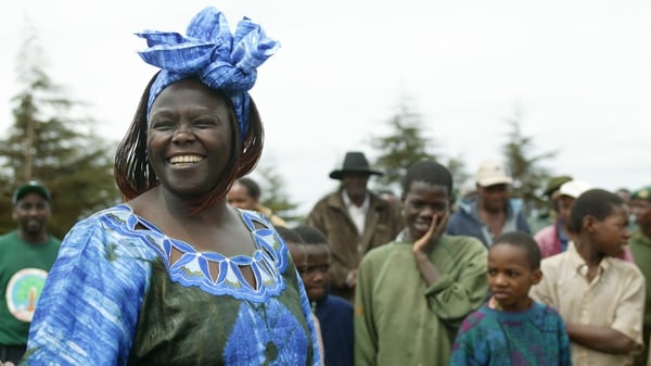 Kenyan ecofeminist, human rights campaigner and Green Belt Movement founder Wangari Maathai who was awarded the 2004 Nobel Peace Prize. Photo: Micheline Pelletier/Corbis via Getty Images