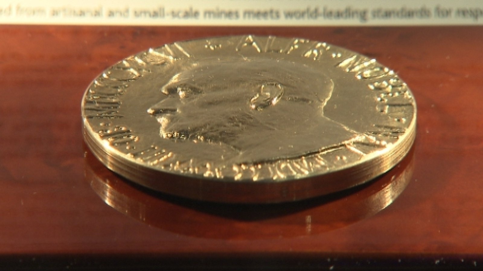 Nobel Peace Prize medal on display at Dublin coin fair