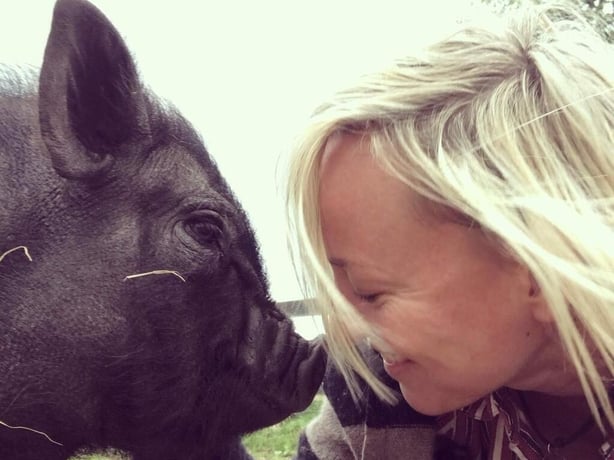 Cathy Davey, My Lovely Horse Rescue