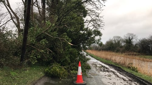 A fallen tree blocks the road at Digsby Bridge near Sallins, Co Kildare (Pic: Rolling News)