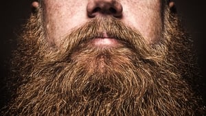 "Beards were a source of pride and led to nicknames such as Jutting-Beard, Silk-Beard and Old-Beardless"