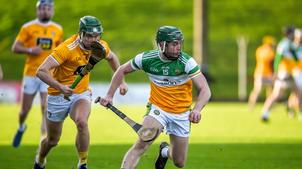 Offaly are set for another season in the second tier