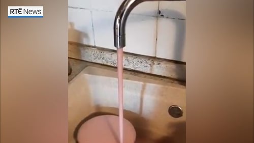 Image: Georgia Mezzacqui