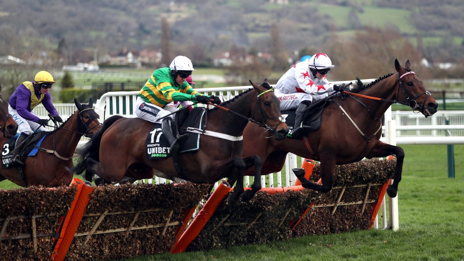 Cheltenham Day 1 results and reports