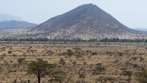 Around one million tourists visit Kenya every year to see the country's famous national parks