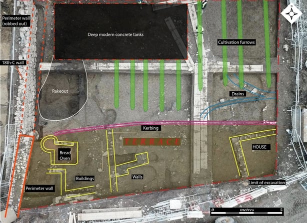 Dublin's earliest Viking settlement seen in new light