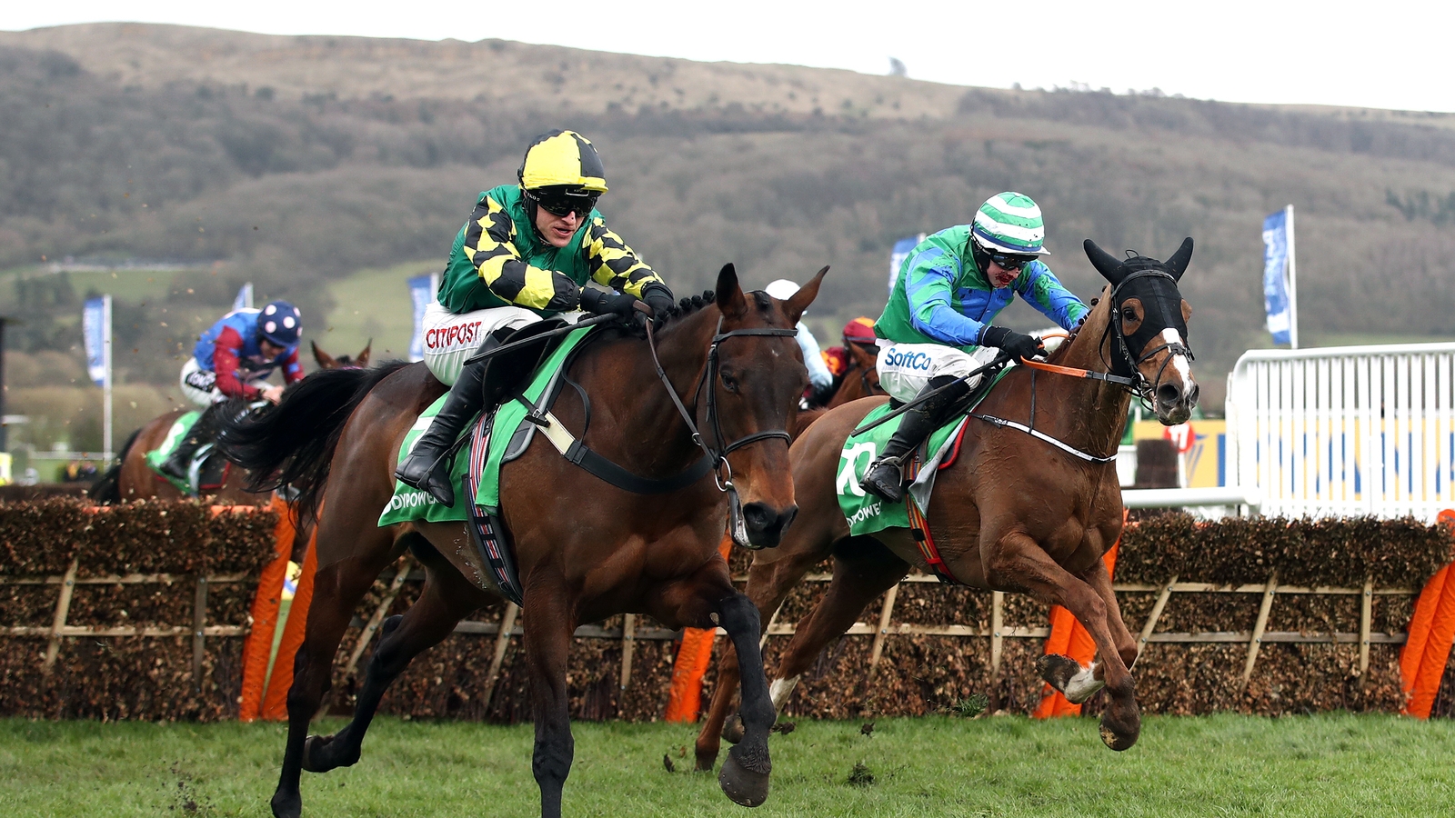 501 shot Lisnagar Oscar stuns in Stayers' Hurdle