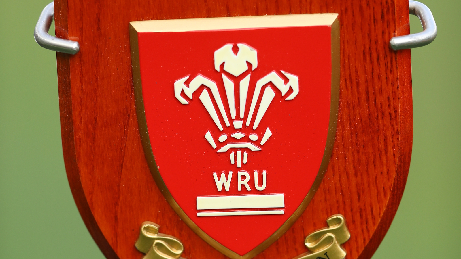 welsh rugby union