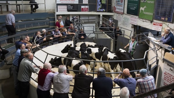 Farmers at Kilcullen Mart in Co Kildare in 2019 (Pic: RollingNews.ie)