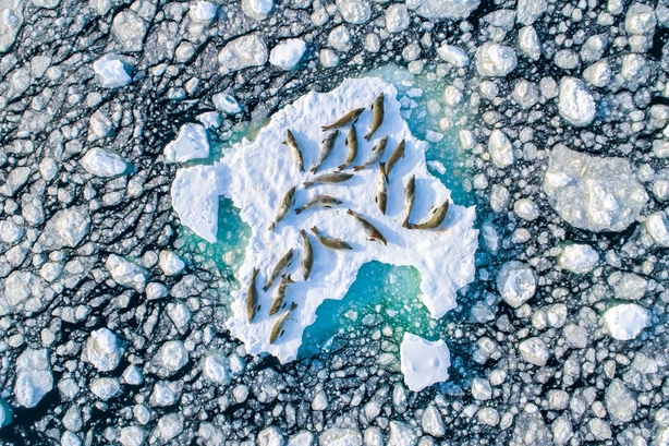(Florian Ledoux/Nature TTL/PA)