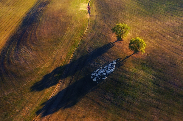 (Marek Biegalski/Nature TTL/PA)
