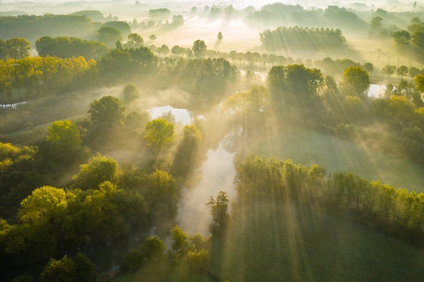 (Bart Heireg/Nature TTL/PA)
