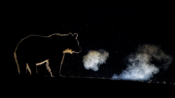 (Bence Máté/Nature TTL/PA)