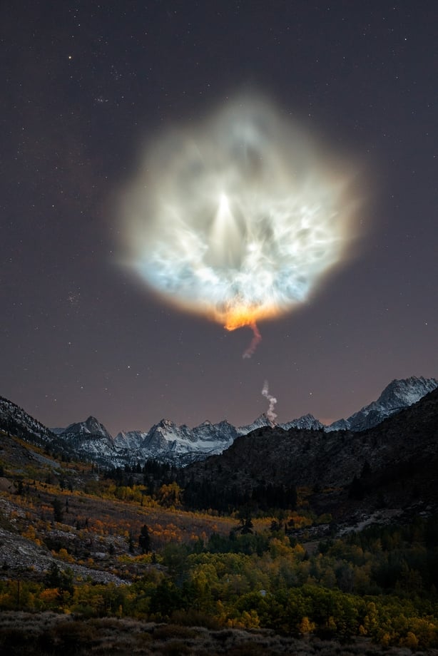 (Brandon Yoshizawa/Nature TTL/PA)