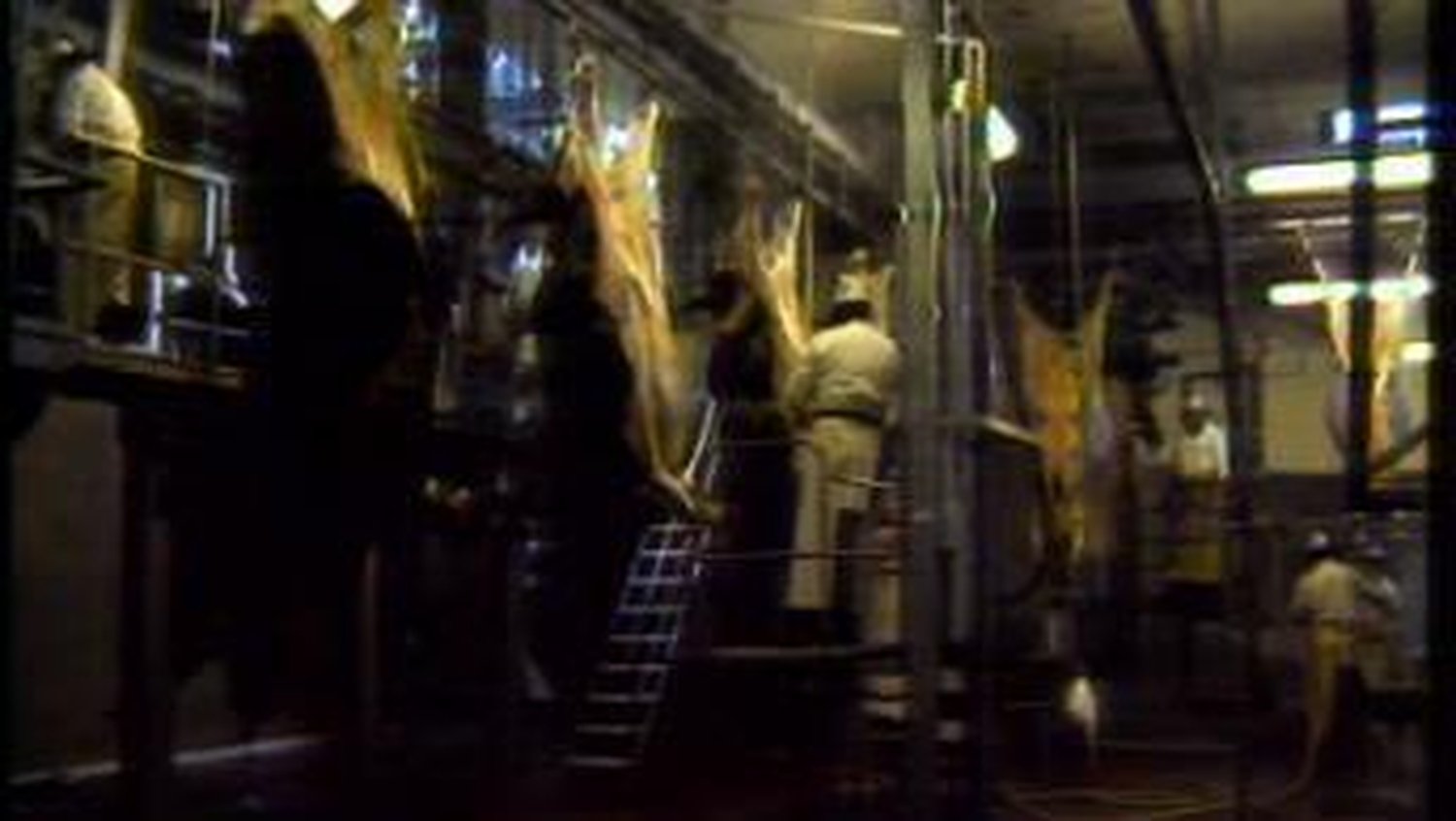 RTÉ Archives Collections Goodman Meat Plan