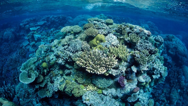 Great Barrier Reef