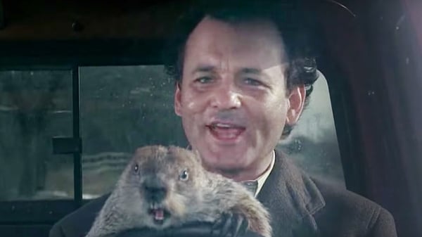 Who knew that Groundhog Day was a documentary about the pandemic?