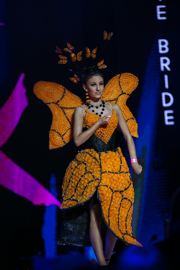 The Butterfly Effect by Lexie Carty