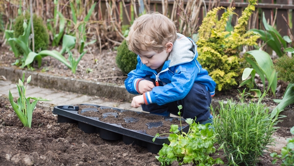 Bloom show garden designer Jane McCorkell offers some sage advice.
