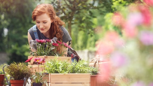 World Bee Day 7 Ways To Support Bees In Your Garden World Bee Day 7 Ways To Support Bees In Your Garden