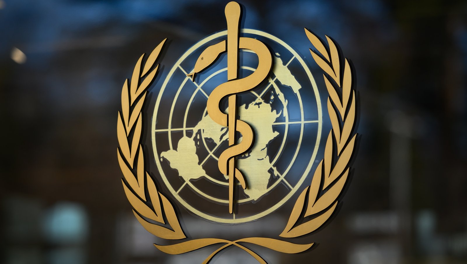 world health organization assignment