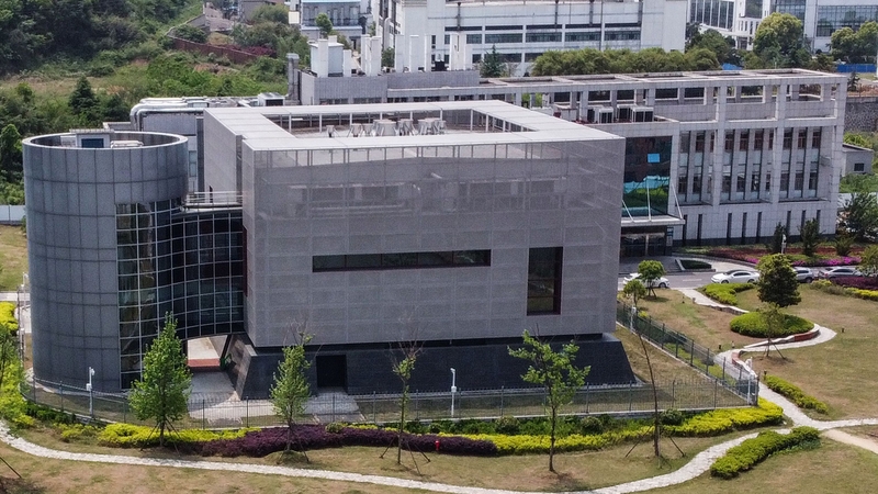 The P4 lab at the Wuhan Institute of Virology