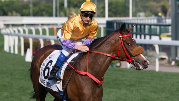 Playa Del Puente and Blake Shinn finished second in the Hong Kong Derby as 290-1 outsiders