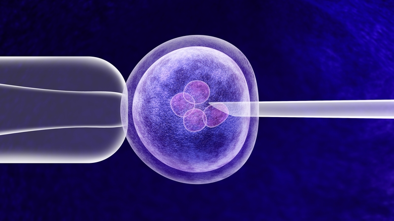 How to be An Adult: Egg freezing thumbnail