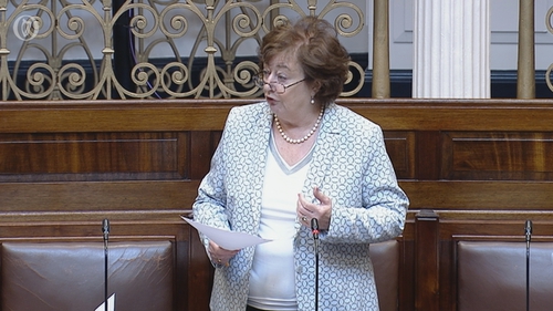 Catherine Murphy, Social Democrats co-leader took aim at the Tánaiste's remarks that the grass is not always greener overseas