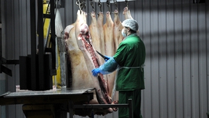 Minister Michael Creed said that while the food production sector is important, it was 'secondary' to the safety of workers in meat plants (File image)