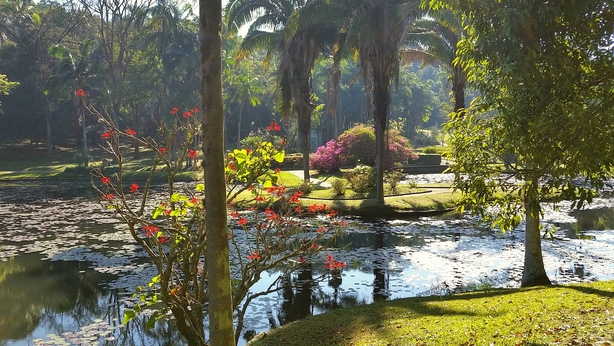 6 world-famous gardens you can visit virtually