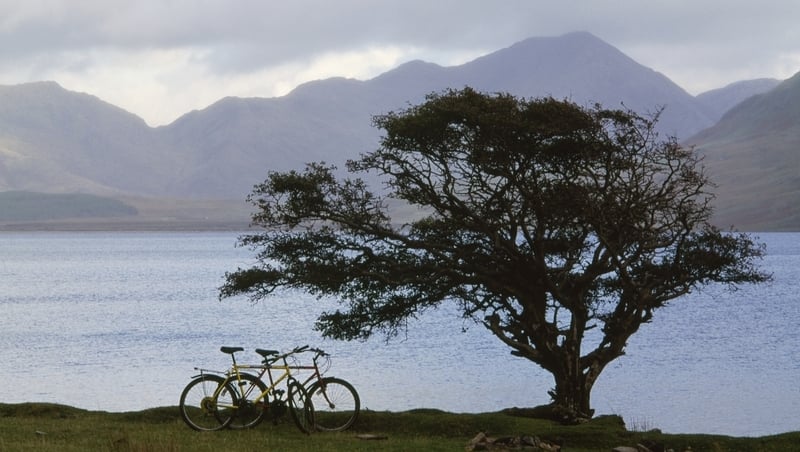 Death, sex, superstition and fear: the hawthorn tree in Ireland