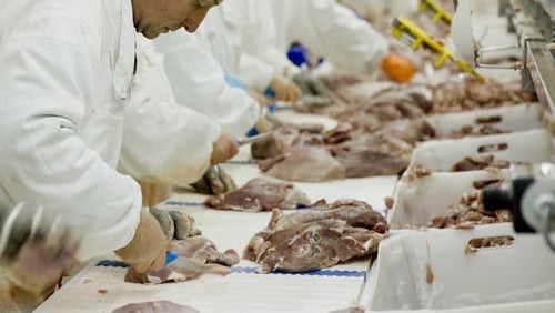 More than 1,500 cases of the virus were confirmed at meat processing plants