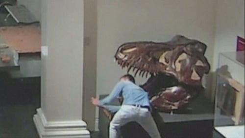The man is accused of breaking into the museum, with CCTV footage showing someone taking selfies with dinosaurs The man is accused of breaking into the museum, with CCTV footage showing someone taking selfies with dinosaurs
