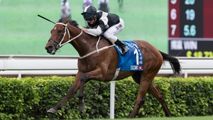 The horse formerly known as Irishcorrespondent proved victorious in Hong Kong