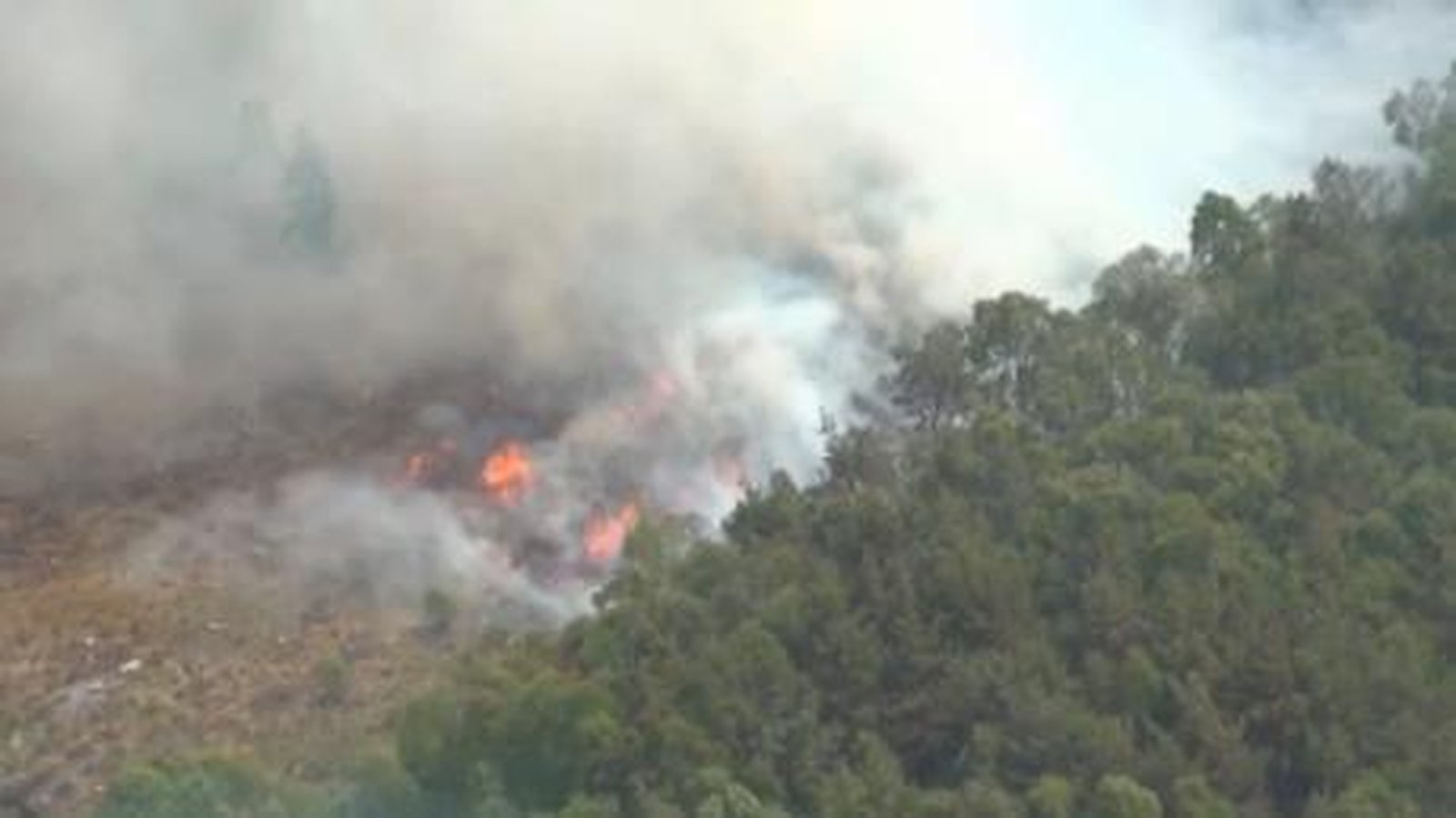 Firefighters tackling forest fire near explosives plant