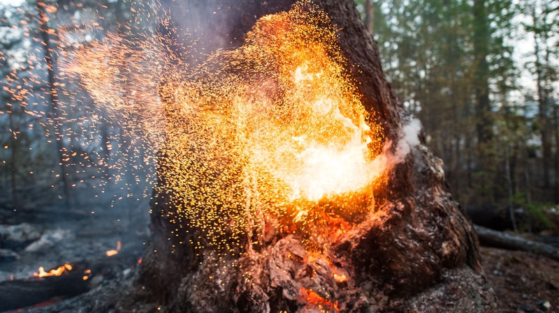 A wildfire burns in Yakutia, Russia earlier this month
