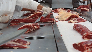 The first phase of the serial testing system at meat processing facilities is to be completed this week