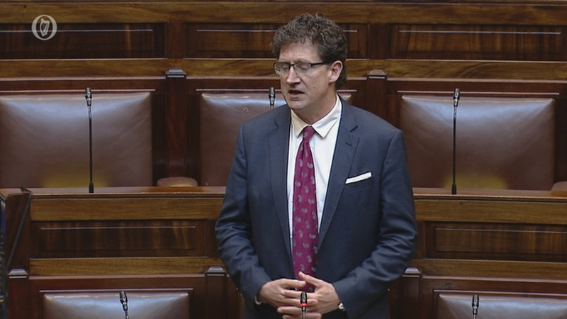 Eamon Ryan apologises for using 'racial slur' in Dáil