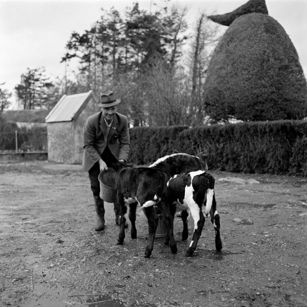 Tim O'Meara on his farm in Brosna near Shinrone, County Offaly, 