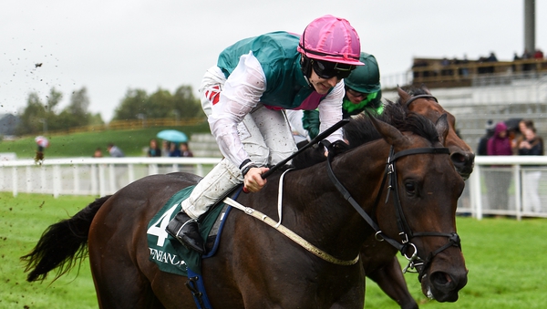Colin Keane couldn't turn down the chance to partner Siskin at Goodwood next week