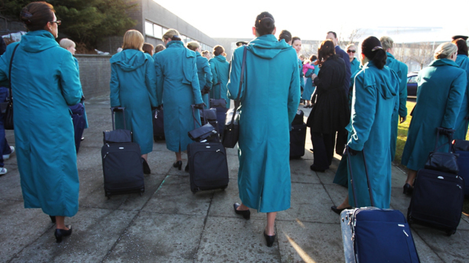 aer lingus baggage lost