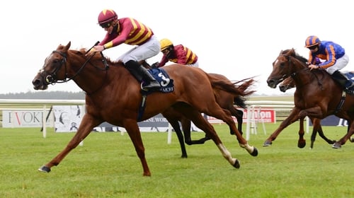 Crossfirehurricane extended his unbeaten record to four races in the Gallinule Stakes on his most recent outing