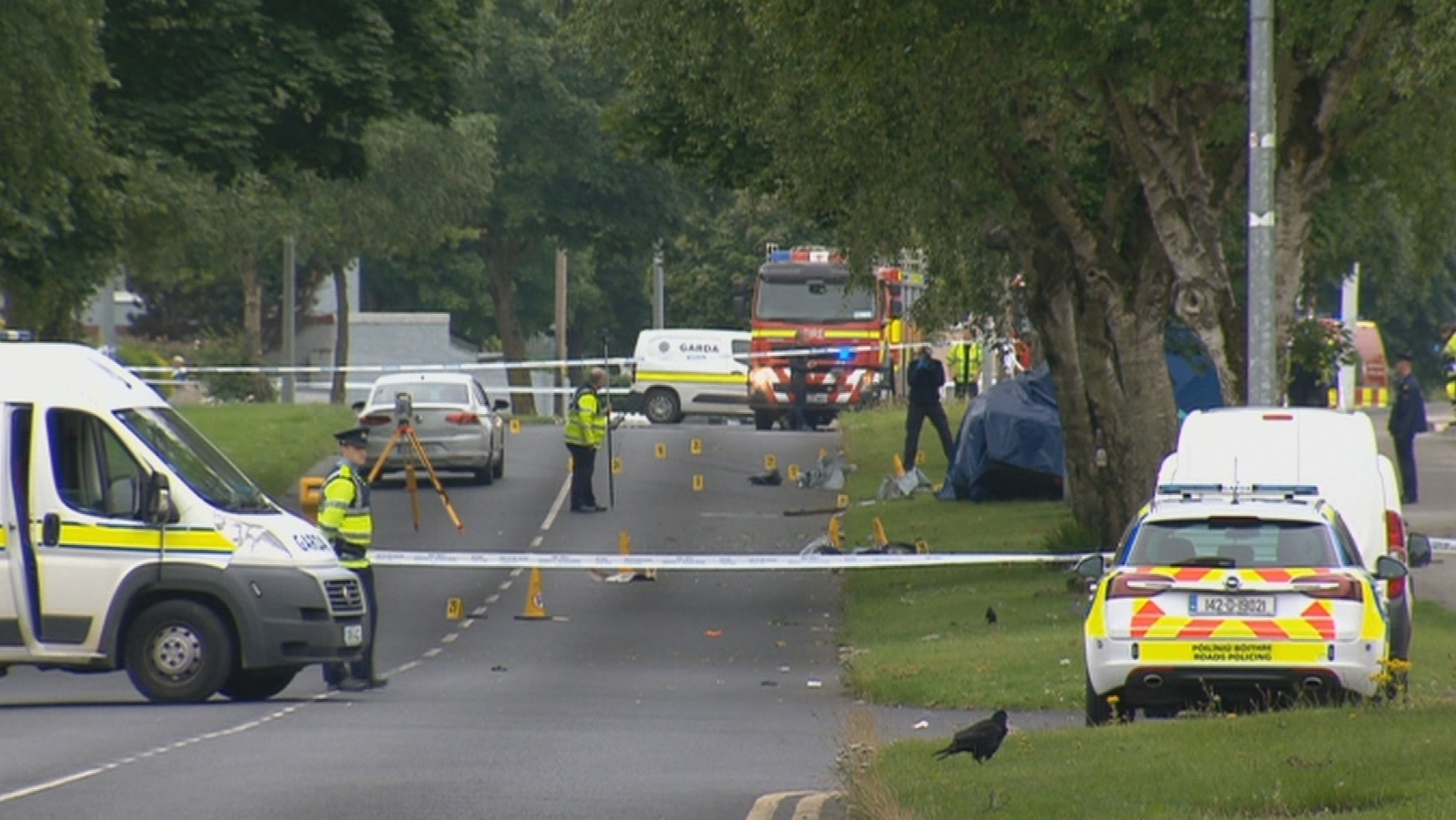 Two killed in Limerick road collision