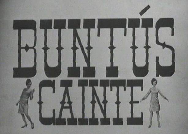 Buntús Cainte