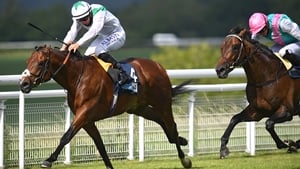 Emissary chases home Khalifa Sat in a sprint finish to the Cocked Hat at Goodwood