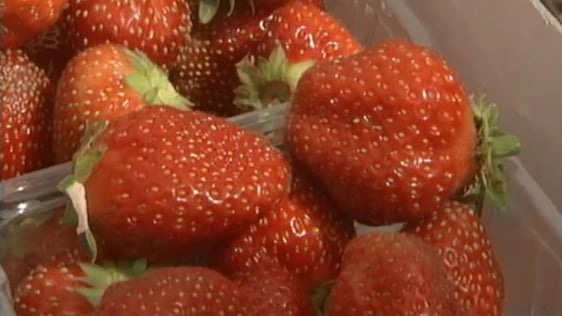 Wexford strawberries.