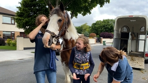 Aoibhinn Breslin with Buddy the equine therapy horse Aoibhinn Breslin with Buddy the equine therapy horse